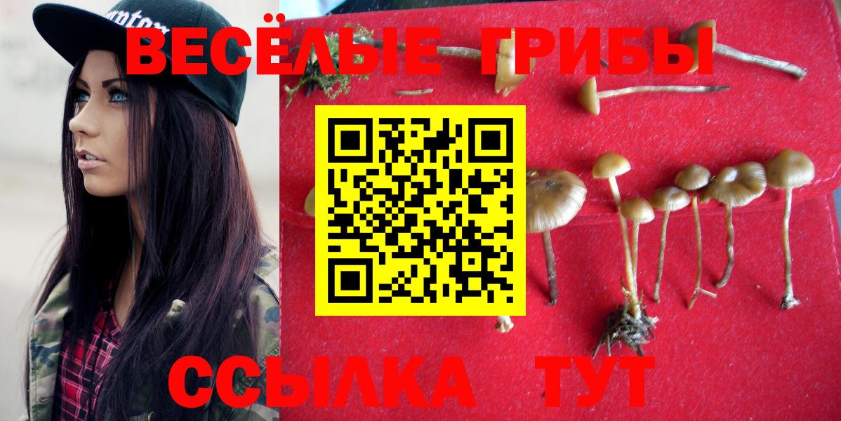 Галлюциногенные грибы Psilocybe  Галлюциногенные грибы MAGIC MUSHROOMS  Вход с VPN  Брянск 